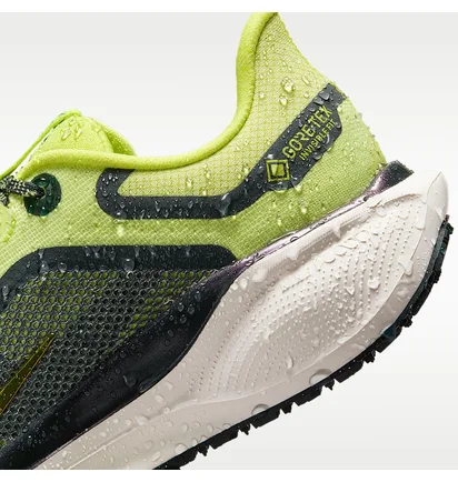 Кросівки жіночі Nike Pegasus 41 Gore Tex Green FQ1357-300