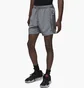 Шорты мужские Air Jordan Sport Dri-Fit Grey FN5842-084