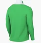 Кофта мужская Nike Academy Pro 24 Drill Top Green FD7667-329