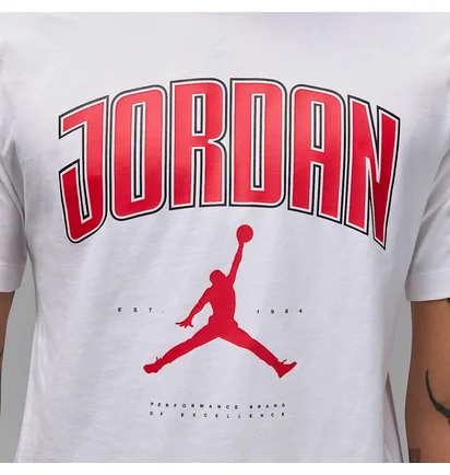 Футболка чоловіча Air Jordan City 88 Ss Crew White HQ0009-100