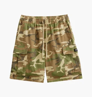 Шорти чоловічі Vans Range Camo VN000G6SLVB
