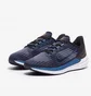Кросівки чоловічі Nike Air Winflo 9 Blue DD6203-400