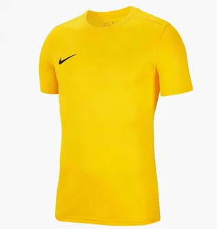 Футболка мужская Nike Dry Park Vii Yellow Bv6708-719