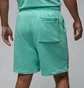 Шорти чоловічі Air Jordan Ess Flc Short Lb Turquoise FQ4534-349
