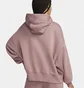Худи женское Nike Sportswear Phoenix Fleece Over-Oversized Pullover Hoodie Bordo DQ5858-208