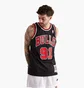 Майка мужская Mitchell & Ness Swingman Dennis Rodman Chicago Bulls Alternate Jersey Black SMJYGS18152-CBUBLCK97DRD