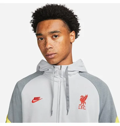 Худи мужское Nike Liverpool Fc Travel Fleece Grey DB7824-016