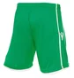 Шорты мужские Macron Algol Short Green 5069-0401