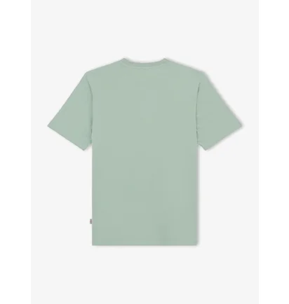 Футболка чоловіча Dickies Mapleton Green DK0A4XDBK361
