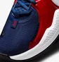 Кросівки унісекс Nike Pg 5 Multi CW3143-101