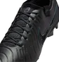 Бутсы унисекс Nike Legend 10 Elite Fg Black DV4328-002