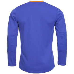 Лонгслів чоловічий Puma Goalkeeper Jersey Blue 701064-37
