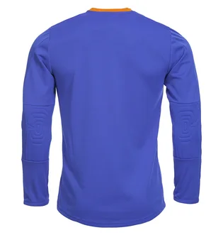 Лонгслив мужской Puma Goalkeeper Jersey Blue 701064-37