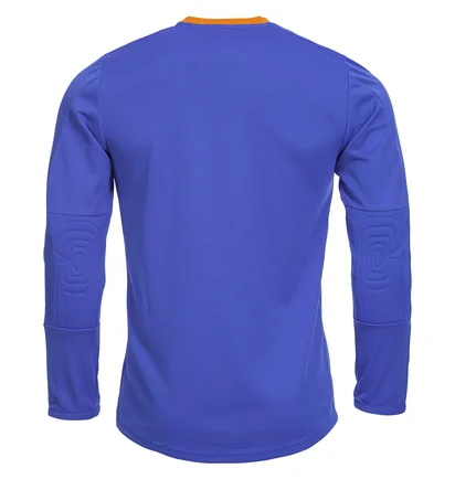 Лонгслив мужской Puma Goalkeeper Jersey Blue 701064-37