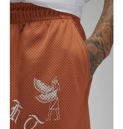 Шорты унисекс Air Jordan Artist Series By Umar Rashid Mesh Shorts Orange DX9720-812