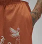 Шорты унисекс Air Jordan Artist Series By Umar Rashid Mesh Shorts Orange DX9720-812