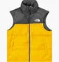 Жилетка чоловіча The North Face 1996 Retro Nuptse Vest Yellow/Black NF0A3JQQZU3