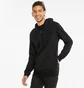 Толстовка чоловіча Puma Fz Black 589349-01