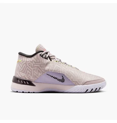 Кроссовки мужские Nike Lebron Nxxt Genisus Beige HF0712-005