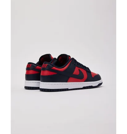 Кроссовки мужские Nike Dunk Low Blue/Red DV0833-601