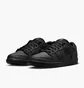 Кросівки чоловічі Nike Dunk Low Pro Sb Black FJ1674-001