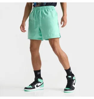 Шорты мужские Air Jordan Essentials 5 Poolside Shorts Turquoise FQ4562-349
