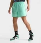 Шорти чоловічі Air Jordan Essentials 5 Poolside Shorts Turquoise FQ4562-349