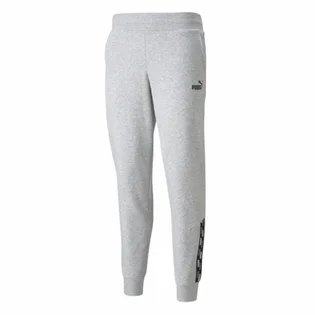 Штаны женские Puma Power Pants Fl Grey 589546-04