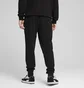 Штаны мужские Puma Ess Elevated Pants Black 684729-01