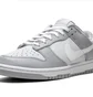 Кроссовки мужские Nike Dunk Low Retro Grey DJ6188-001