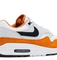 Кроссовки мужские Nike Air Max 1 Grey/Brown FN6952-101