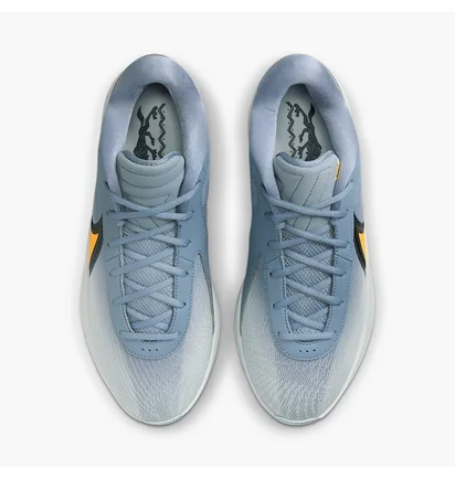 Кросівки чоловічі Nike Freak 6 Light Blue FJ7792-400