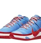 Кросівки унісекс Nike Kd 13 Hardwood Classics Blue DC0009-400