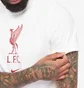 Футболка чоловіча Nike Liverpool 22/23 Crest Ss Tee White DM3482-100