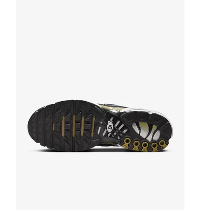 Кросівки чоловічі Nike Air Max Plus Brown DM0032-700