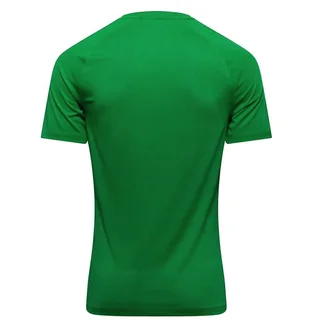Футболка дитяча Nike Park Viii Junior Green HV8182-302