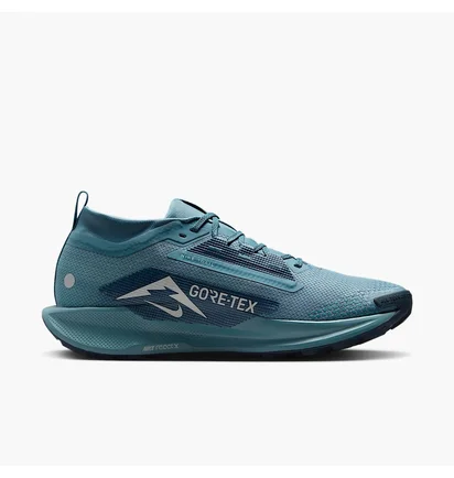 Кросівки чоловічі Nike Pegasus Trail 5 Gtx Blue FQ0908-005