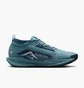 Кросівки чоловічі Nike Pegasus Trail 5 Gtx Blue FQ0908-005