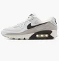Кроссовки мужские Nike Air Max 90 Grey Cw7483-100