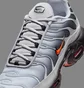 Кросівки чоловічі Nike Air Max Plus Wolf Grey DM0032-011