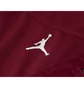 Штани чоловічі Air Jordan Dri-Fit Air MenS Pants Bordo DQ7890-613