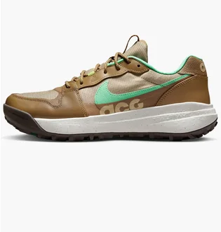 Кросівки чоловічі Nike Acg Lowcate Brown DX2256-200
