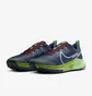 Кроссовки мужские Nike Pegasus Trail 4 Blue DJ6158-403