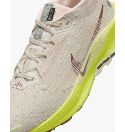 Кроссовки женские Nike Pegasus Trail 5 Gore-Tex Waterproof Trail Running Shoes Beige FQ0912-101