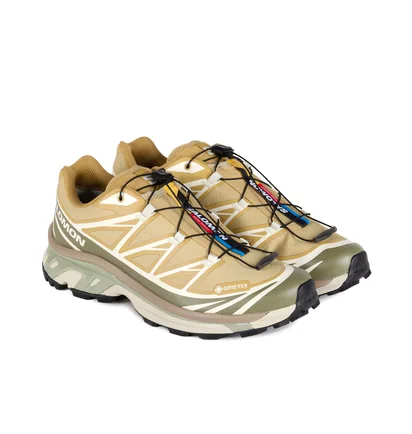 Кроссовки мужские Salomon Xt-6 Antelope/Icicle/Portabella Beige L47581000
