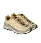 Кроссовки мужские Salomon Xt-6 Antelope/Icicle/Portabella Beige L47581000