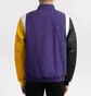 Бомбер чоловічий Air Jordan Dna Violet AT9958-504