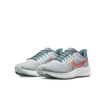 Кросівки чоловічі Nike Air Zoom Pegasus 39 Grey Dh4071-003