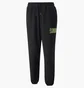 Штаны мужские Puma X Santa Cruz Black 532245-01