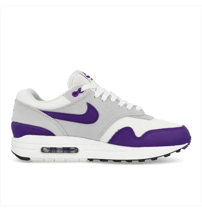 Кроссовки мужские Nike Air Max 1 Sc Grey/Violet DZ4549-101